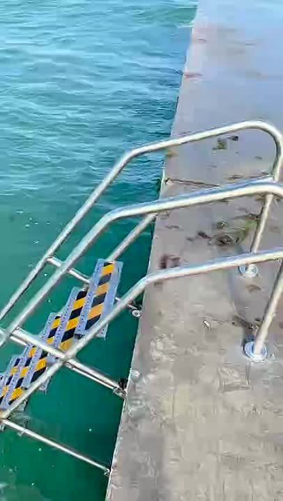 �� ����� ��������� ������������� ��������� ��������