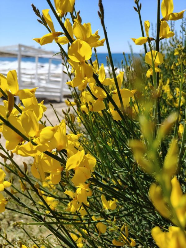 #��� �� ��������?. ��� ��������� ����� ������ ������ � ���� ����� � ����� �� �����, ����� ������ ������������ � ������� ����