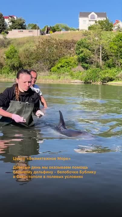 ��������� ������� ����������: ������� ����� ������ � ������� ��� ���������