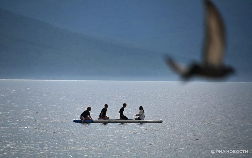 ������� ������ � ����� �� �������