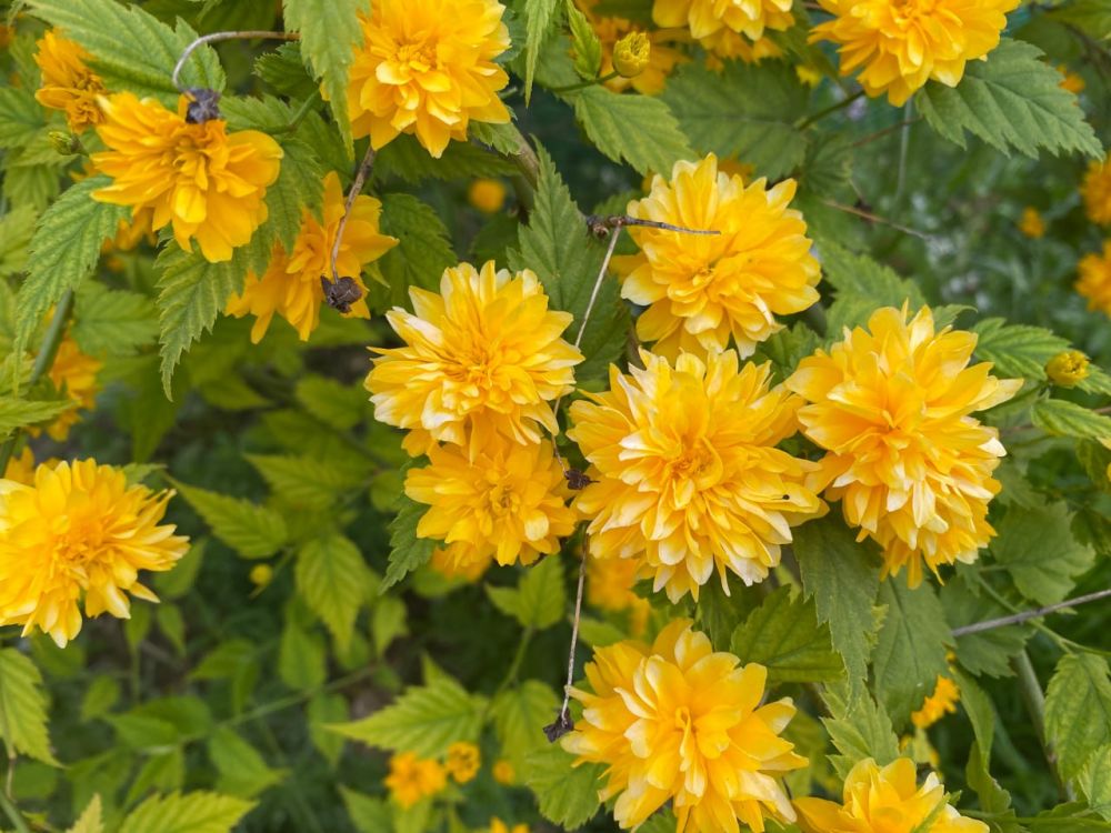 ������� ������ � ����� �� 24 ���