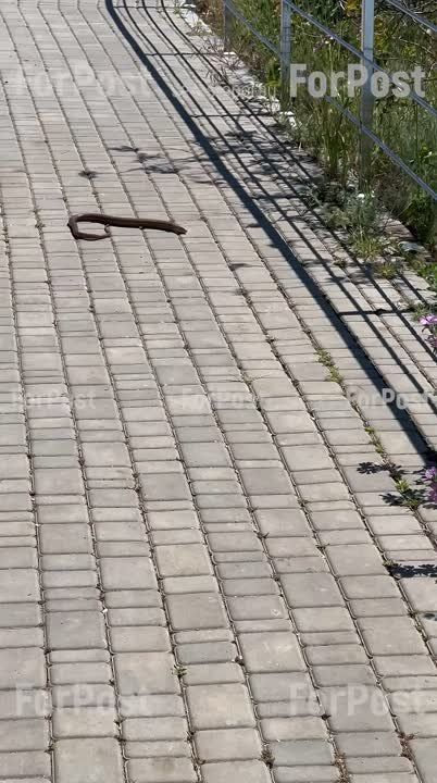 �� ����� ������ � ����������� ����� � �����������