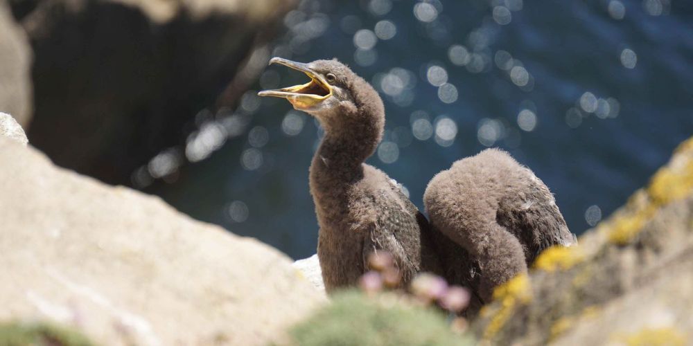 �� �������� �������-�������! ������ ���� ������ ����� ����� ��?