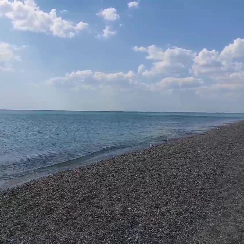 ������ ����, �����������!. 24 ��� ��������� ������� ������