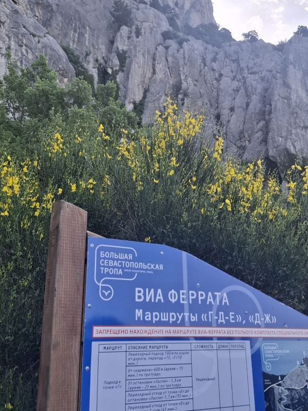 ���������� ���������� ������� ������ ����������� ��������� � ��������� �� �������� ���� ������� ���� �� �������� ��� �������