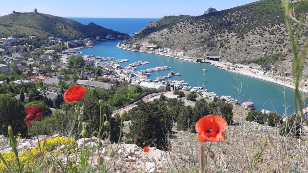 � ������ ������ ������������!