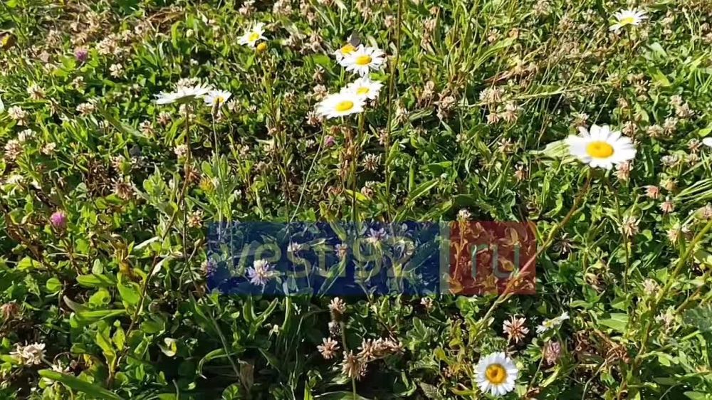 ������ ����, �����������! ������� ����� �������� ������� � ����