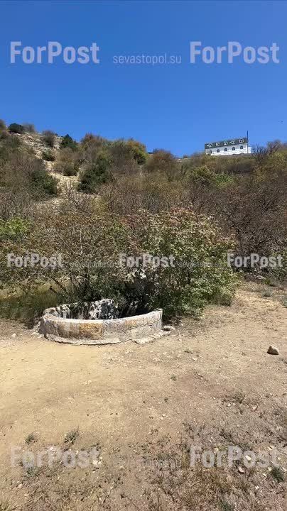 ��� ����� ������, ������������� � ��������������� ������, ���� �� ��������