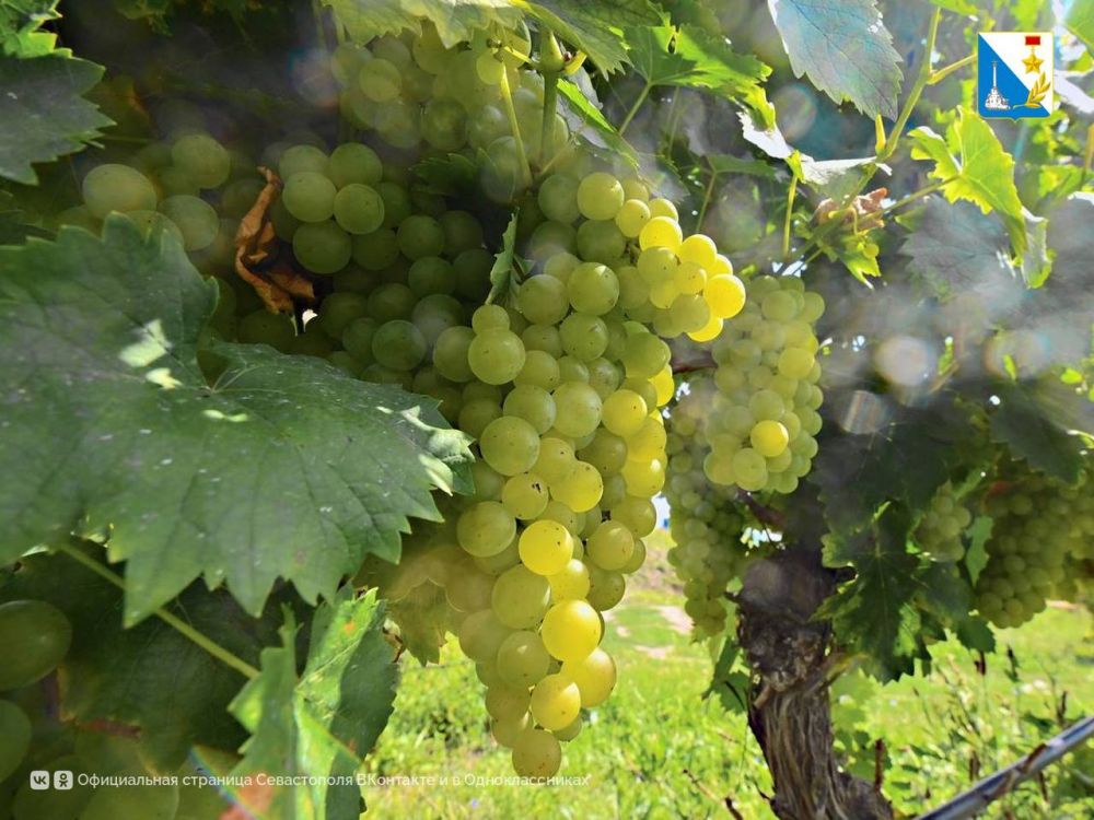 ������� ������� ��� ������������ � ���������