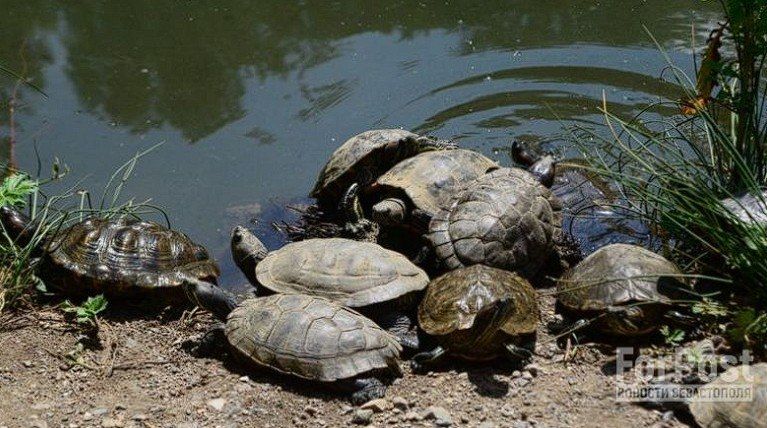 � ��������������� ����� ��. �������� ������������ ���������� ��������