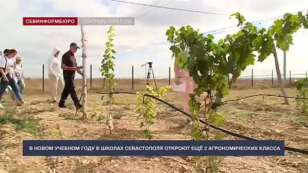 � ����� ������� ���� � ������ ����������� ������� ��� 2 �������������� ������