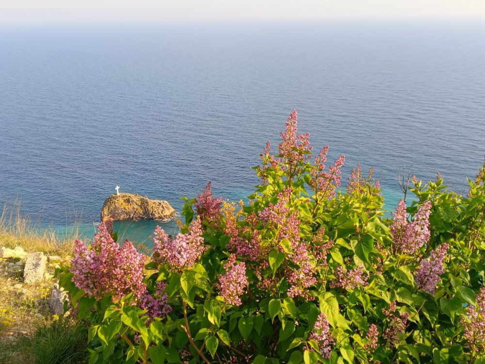 ������� ������ ������. � ����������� ��� ������������ �������