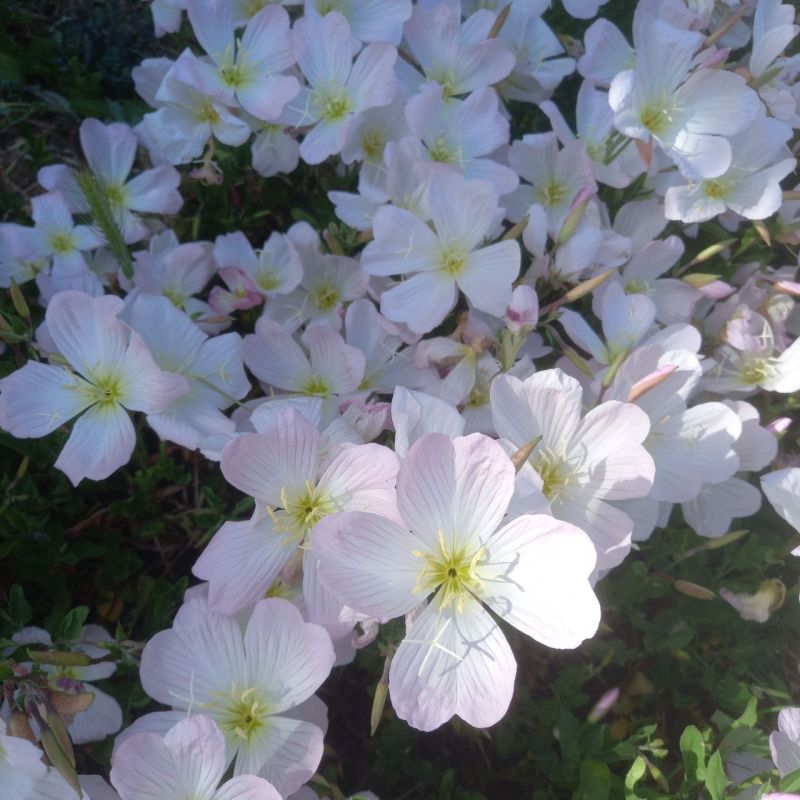 #��� �� ��������?. ��� �������� � �����������, � ����� ������������� ����������, � � ������ � ������ ���������� ����� �� �������