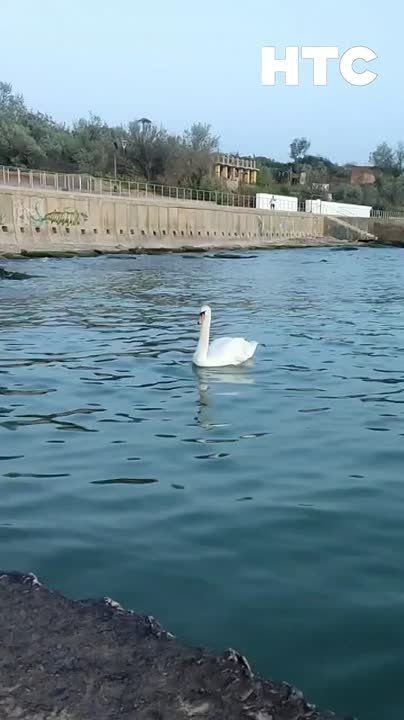 � ��������� ������� ������ ������������� ��������� ��������� ���������� �������� � ������� ���� ���������� ������� �����