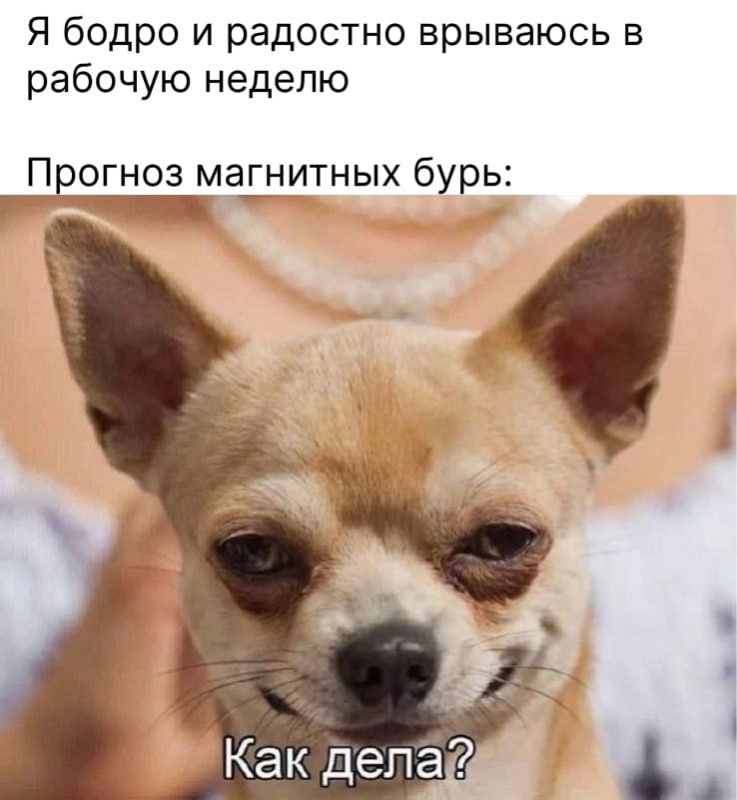      :    ?