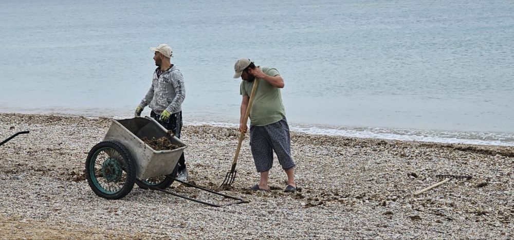 ������� ��������� ��� ����� �� ���������� ����� � �������