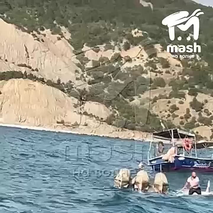   -     