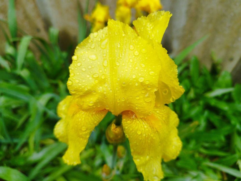 ������� ������ � ����� �� 26 ���