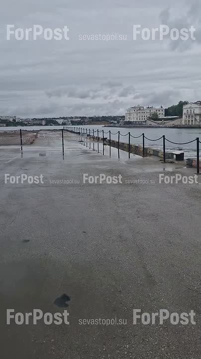 � �������� ������������ �������� ����� ���������� ��������� �SeaVas�