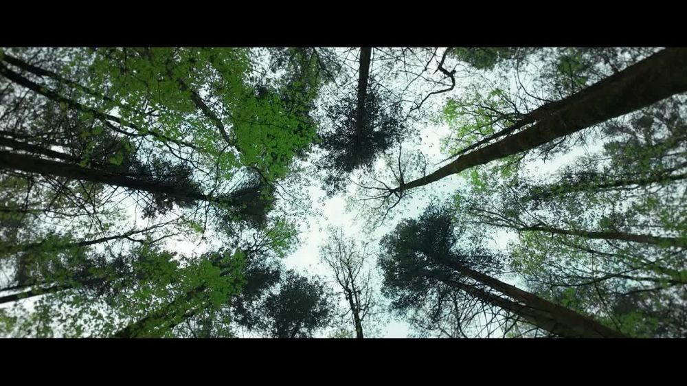 � ������ ������� 236 ����� ���������� ��������� ���������� ������������ ��������