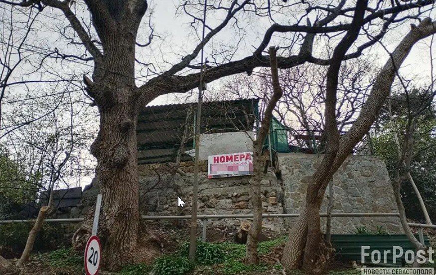 �������� ����� ����������� ��������� ������ �����������