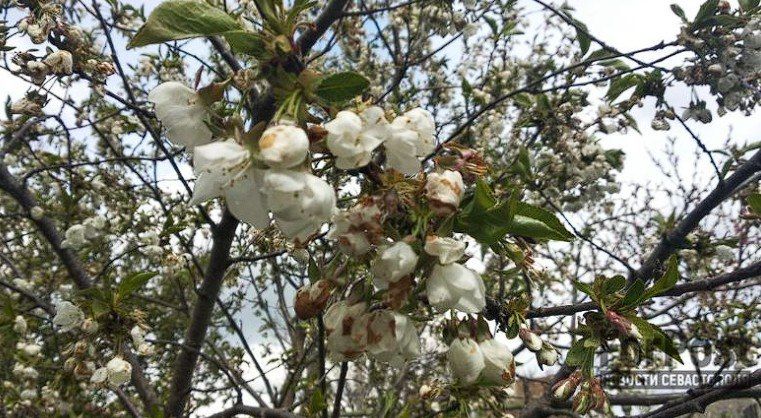 � ������� ������� ����� ����� �� �������������� ��������� ��-�� ������ ����� ������