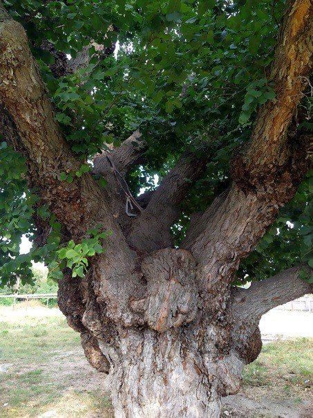 ��������� �� ��������������� ����� � �������� ����� �������!