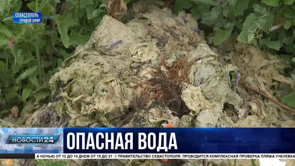 ������� ������ ����� �������� �� ����� ����� � ������