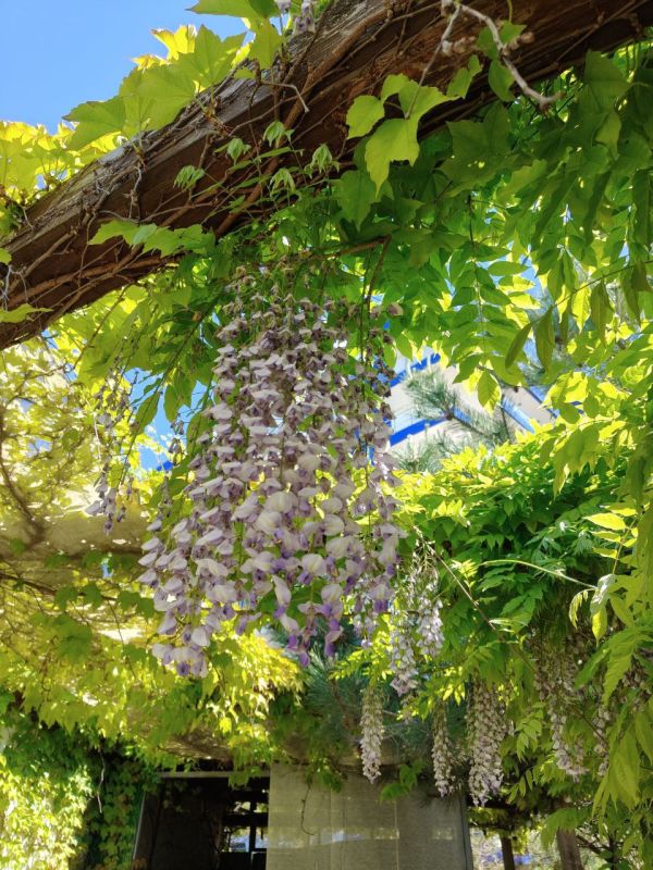 #��� ��� ������?. ��� �������� � ����� �������: � ������ 200-������ ���������� ���������� �� ��������, �������� ����� ��������� �������, � � ����� �����, ��� ����� � ��� �������, ������������ � �����