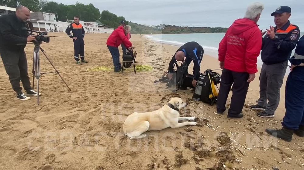 ���� "��������" ��������� ����� ������� ������