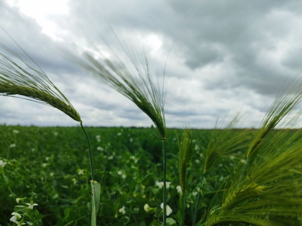 ������� ������ � ����� �� 27 ���