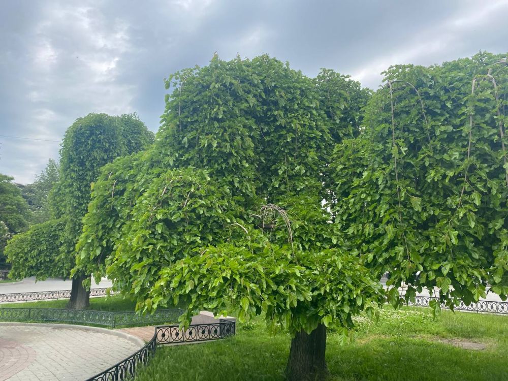 � ����������� �� +21. � ������� ��� ������� � ������������