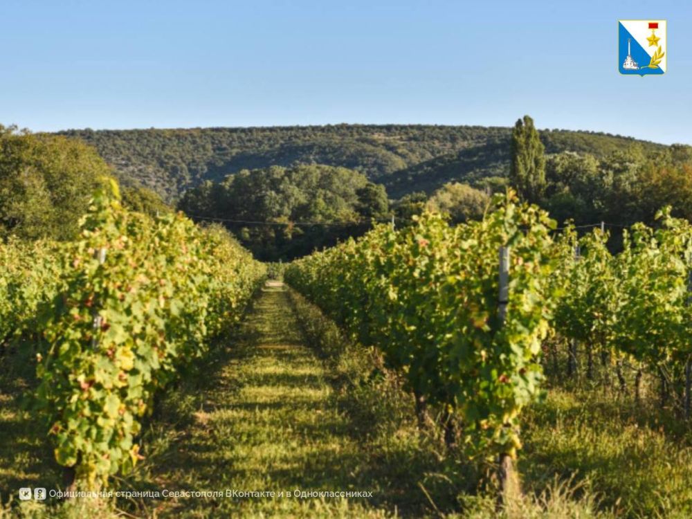 ��� ����������� ������� �������� ������������?