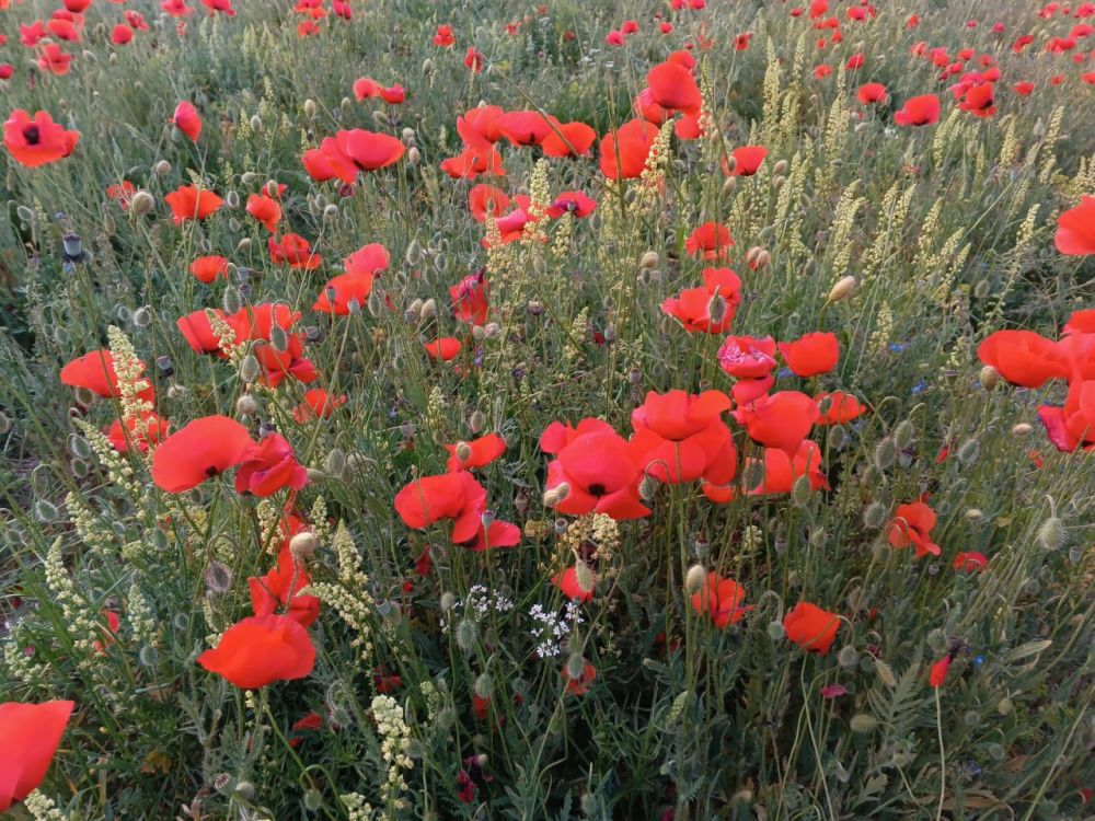 ������� ������ � ����� �� 28 ���