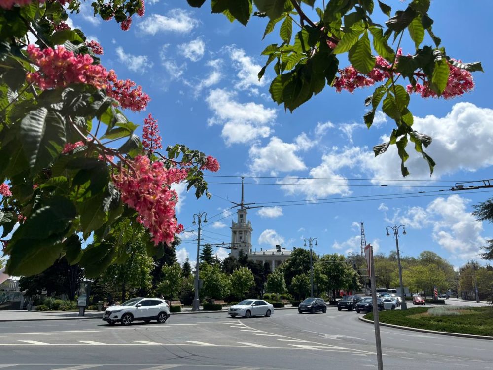 � ������ �����. 28 ��� ��� ������������ �������