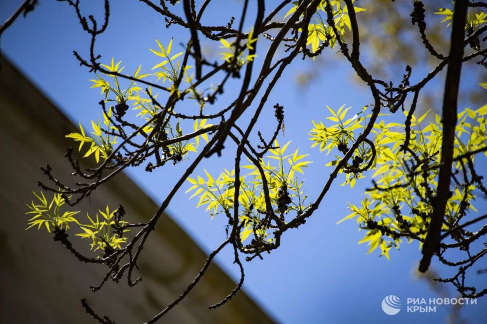 Прогноз погоды в Крыму на среду