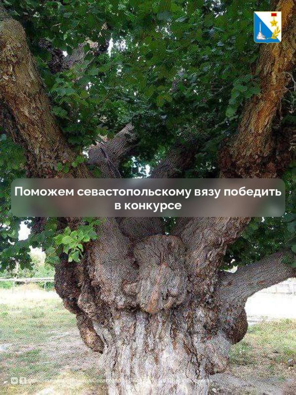 ��������������� ���-����������� ��������� �� ������������� ��������