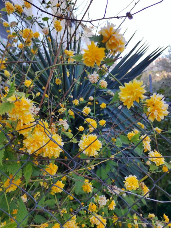 #��� ��� ������?. ���� ��������� ����� ������ �������� ������ � ���� �����: � ������ �� ���� �� ���������� ����-������ ������������ ������, �������� �� ��������� �������