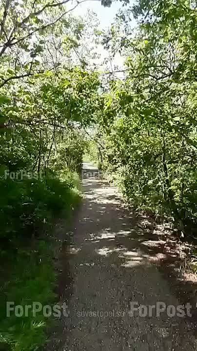 #_.      5     