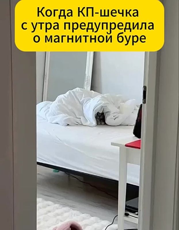 �� ����� �������� ������� ��������� ����