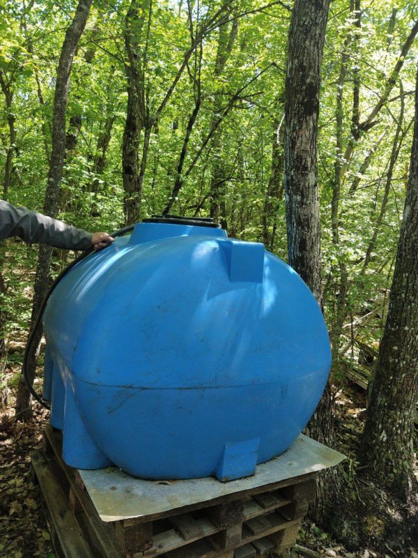 ��������������� ��������� ��������������� ������������ � ����� �����������