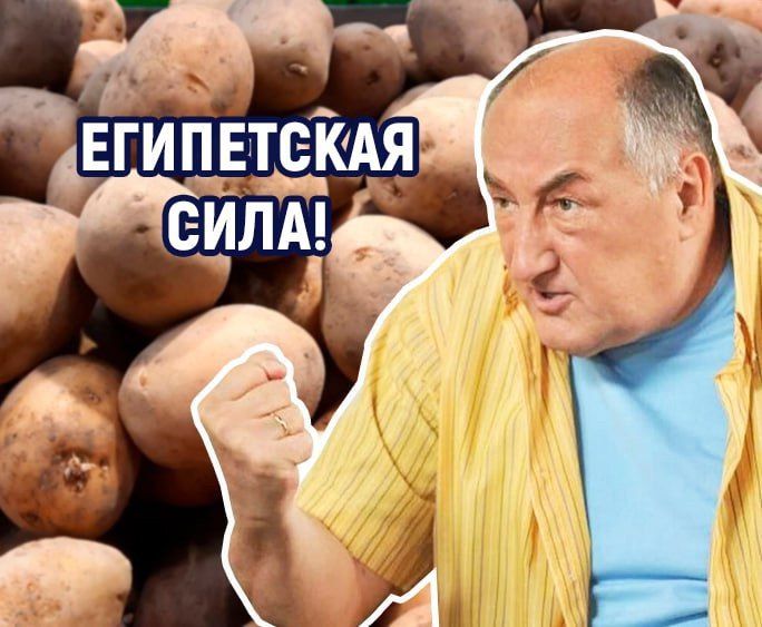 ���������� �������� ���������� 10% �� ������ ������ ������ � �����������