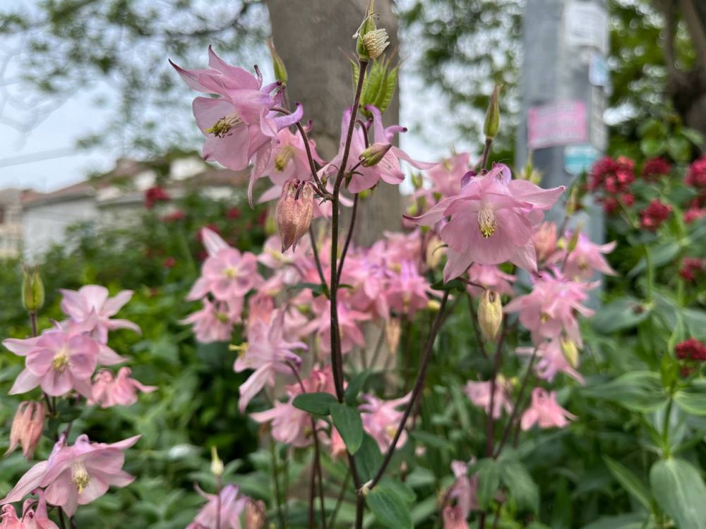 #��� ��� ������?. ���� ������ ����� ����� �� ������� ���������� �����: ��� ������� ������� ������ � �������� �������� ���������� ��������� ���������� ��������, ����������� �� ������ �������