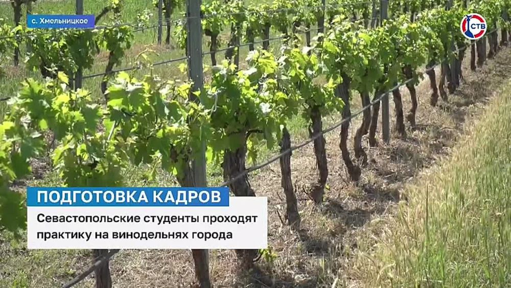 ��������������� �������� �������� �������� �� ����������� ������