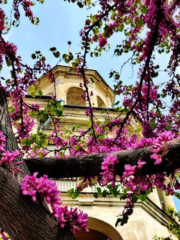 ������� ���������: ������� �������������! �������� ���������� ��� � ���������� ���������� ��������!