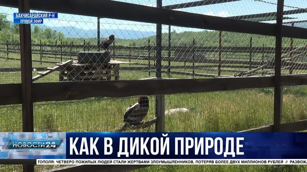 ��������� ������������� �������-��������� �������� ��������� �������� �����������