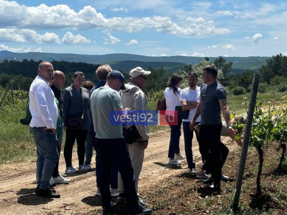 ��� ��������� ��� ������������ ����� �� ������������������ �����������