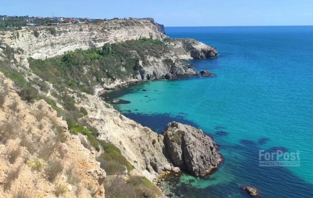 ������������� ������ ������ ����������� � ���� ���� ������� �� ��������