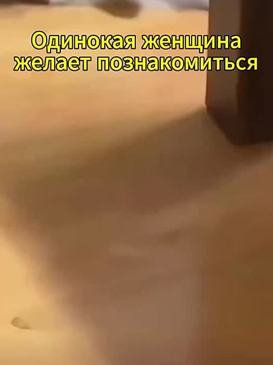  :       80  