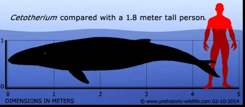 ���� �� ����� ����� ������� ������� �����